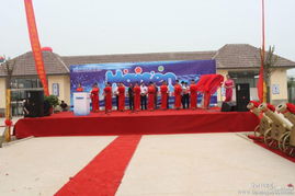 河北礼仪活动策划 融合历史底蕴，展现时代新风